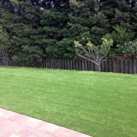 Artificial Grass Ansonville North Carolina Landscape Back