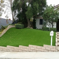 Artificial Grass Blacksburg South Carolina Landscape Front