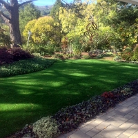 Artificial Grass Casar North Carolina Landscape Back Yard