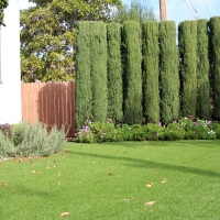 Artificial Grass Cowpens South Carolina Landscape Front