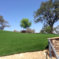 Artificial Grass Enochville North Carolina Lawn Front Yard