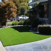 Artificial Grass Eureka Mill South Carolina Lawn Front Yard