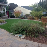 Artificial Grass Mount Croghan South Carolina Landscape