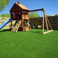 Artificial Grass Waco North Carolina Playgrounds Back Yard