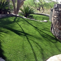 Artificial Pet Turf Saint Stephens North Carolina Installation