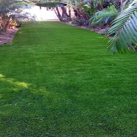 Artificial Turf Advance North Carolina Landscape Back Yard