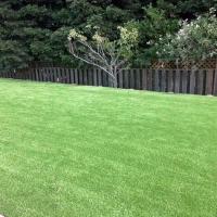 Artificial Turf Cooleemee North Carolina Landscape Back