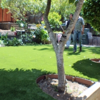 Artificial Turf Cordova North Carolina Lawn