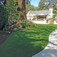 Artificial Turf Denver North Carolina Lawn Commercial Landscape