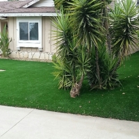 Artificial Turf Earl North Carolina Lawn Front Yard