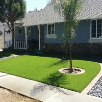 Artificial Turf Elgin South Carolina Lawn Front Yard