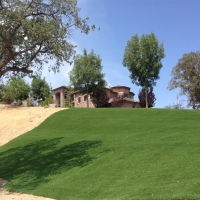 Artificial Turf Iron Station North Carolina Lawn Front Yard