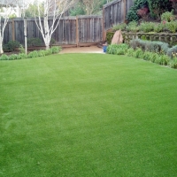 Artificial Turf Maiden North Carolina Landscape Back Yard