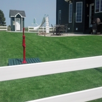 Artificial Turf McConnells South Carolina Lawn Front Yard