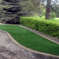 Artificial Turf Northlakes North Carolina Landscape