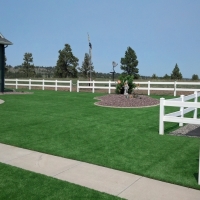 Artificial Turf Sharon South Carolina Landscape Back Yard