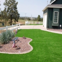 Artificial Turf Sharon South Carolina Landscape Front Yard