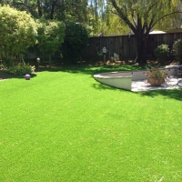 Artificial Turf Wesley Chapel North Carolina Lawn Back Yard