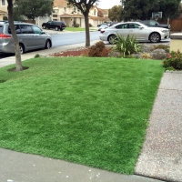 Fake Grass Advance North Carolina Lawn Front Yard