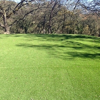 Fake Grass Buffalo South Carolina Lawn Recreational Areas