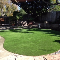 Fake Grass Cedar Rock North Carolina Landscape Back Yard