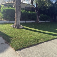 Fake Grass Converse South Carolina Lawn Front Yard