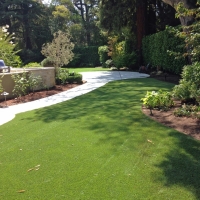 Fake Grass Denver North Carolina Landscape Back Yard