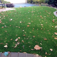 Fake Grass Icard North Carolina Lawn Front Yard