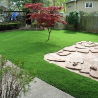 Fake Grass McConnells South Carolina Landscape Back Yard