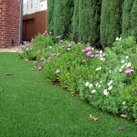 Fake Grass McFarlan North Carolina Lawn Front Yard