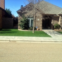 Fake Grass Mount Croghan South Carolina Lawn Front Yard