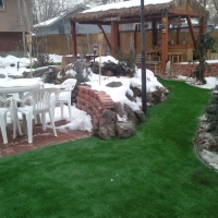 Fake Grass Stallings North Carolina Lawn Back Yard Cold