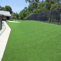 Fake Grass Stanfield North Carolina Lawn Commercial Landscape