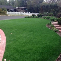 Fake Grass Tryon North Carolina Landscape Front Yard