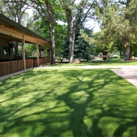 Fake Pet Grass White Plains North Carolina Installation Back