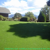 Fake Pet Turf Mount Holly North Carolina Installation Back