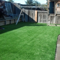 Fake Turf Blacksburg South Carolina Lawn Back Yard