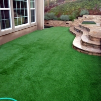 Fake Turf Glendale South Carolina Landscape Back Yard