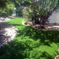 Fake Turf Jefferson South Carolina Lawn Back Yard