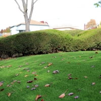 Fake Turf Love Valley North Carolina Landscape Front Yard