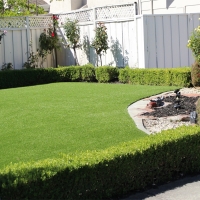 Fake Turf Pageland South Carolina Lawn Back Yard Front Yard