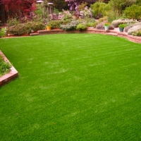 Fake Turf Springdale South Carolina Lawn Back Yard