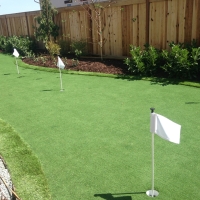 Golf Putting Greens Lesslie South Carolina Artificial Grass