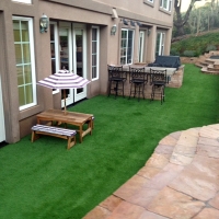 Synthetic Grass Buffalo South Carolina Landscape Back Yard