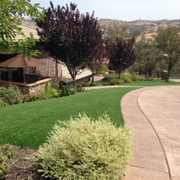 Synthetic Grass Denver North Carolina Lawn Front Yard