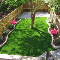 Synthetic Grass Elgin South Carolina Lawn Back Yard