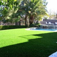 Synthetic Grass Ellerbe North Carolina Landscape