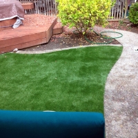 Synthetic Grass Henrietta North Carolina Lawn Back Yard