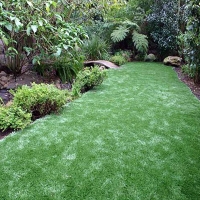 Synthetic Grass Irwin South Carolina Lawn Back Yard