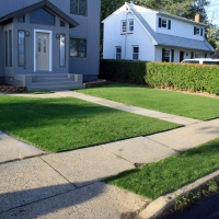 Synthetic Grass McConnells South Carolina Lawn Front Yard